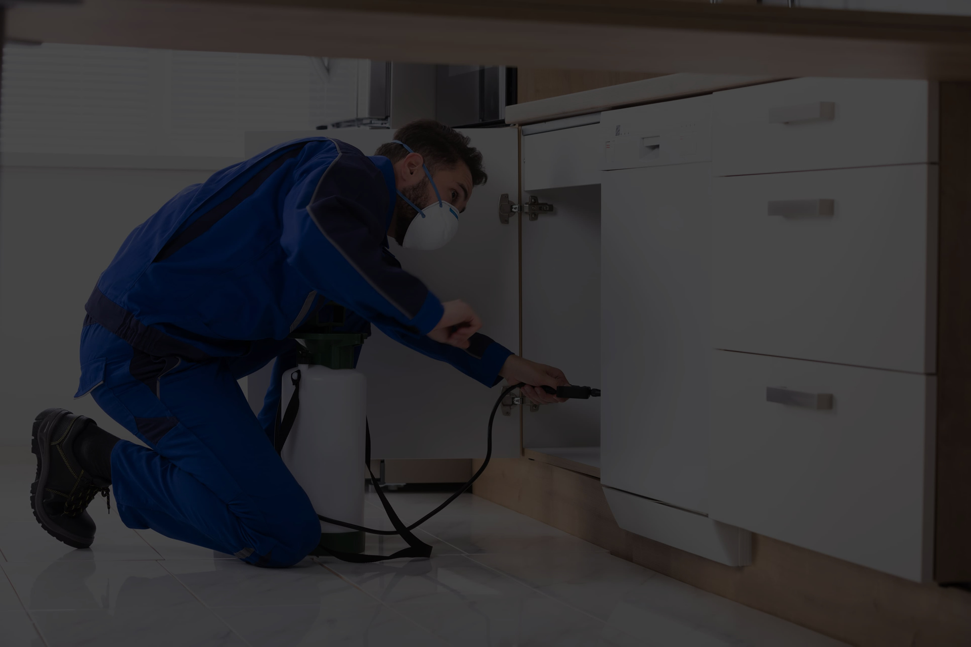 Bed Bugs Exterminator Near Me